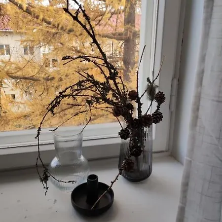 Apartament Spacious And Charming Rovaniemi